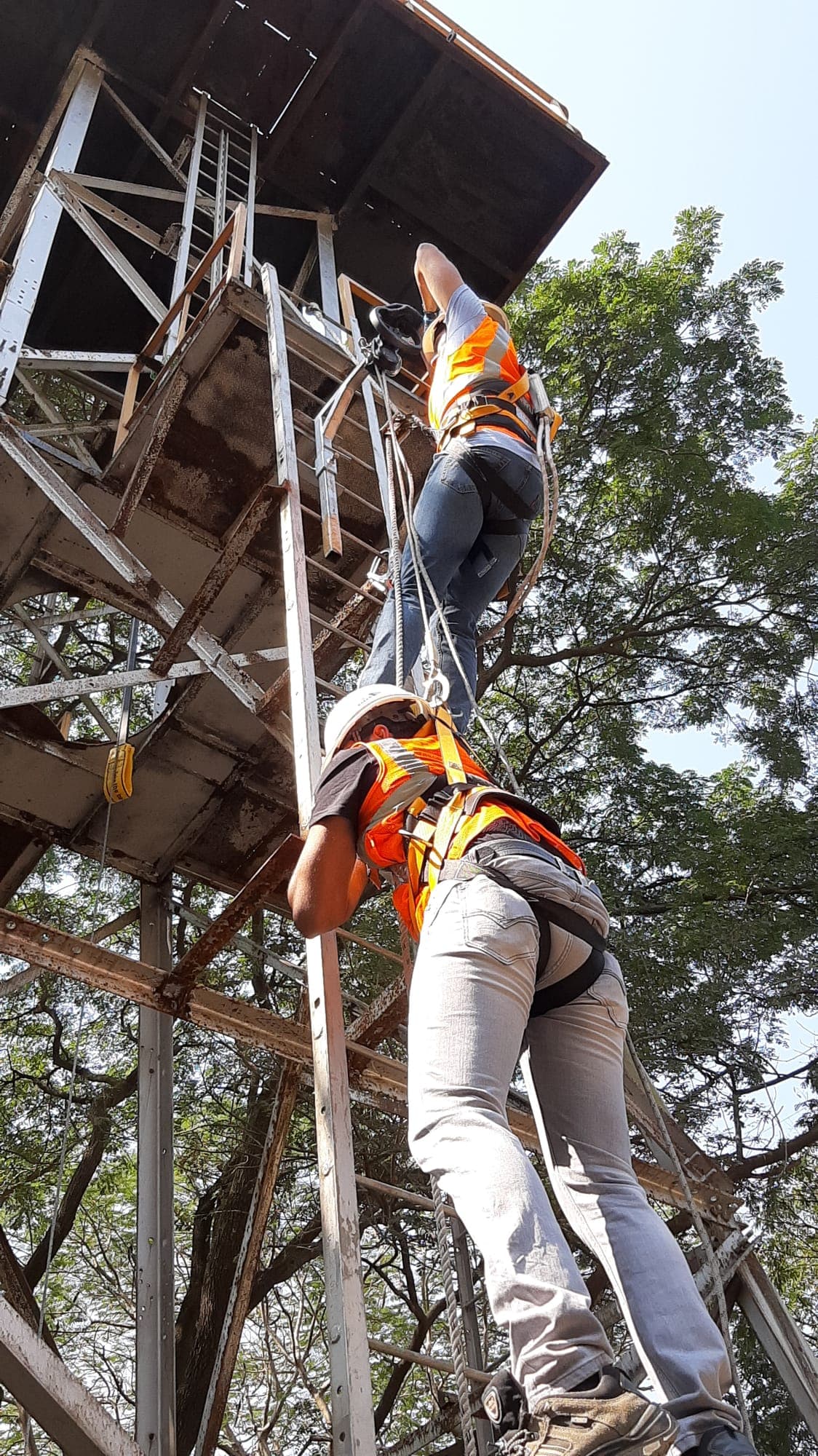 Two trainees in helmets and full-body harnesses climbing a fixed ladder on a steel training tower, attached to fall protection lines