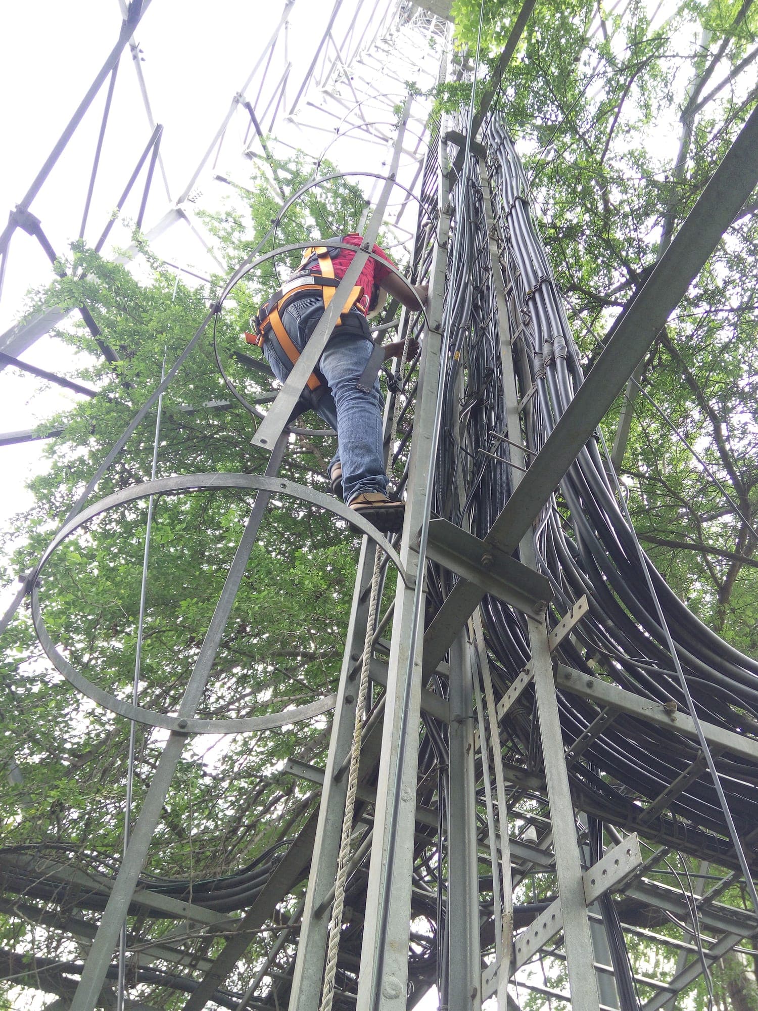 Participant in a harness working in a positioned stance on a steel lattice structure